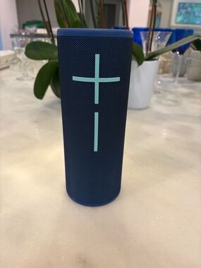 Ultimate Ears Boom 4 Bluetooth Speaker with Mint Controls